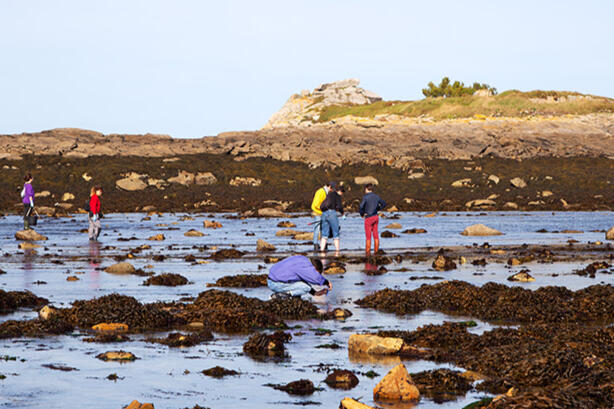 Research and Process - Les Eaux Composee