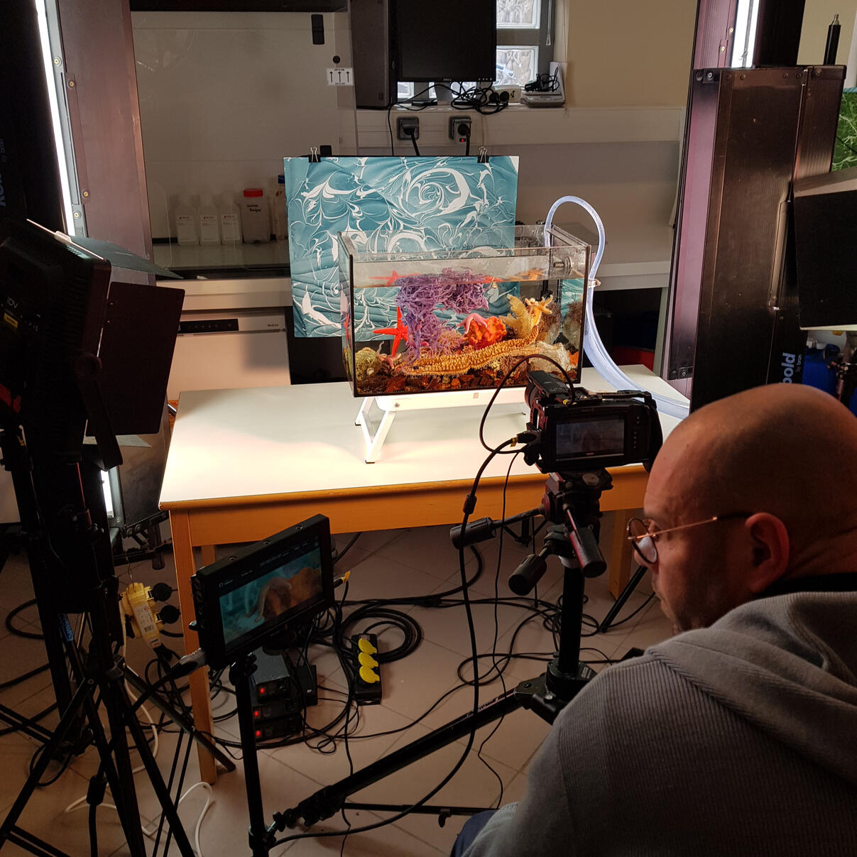 Process work - Aquariums