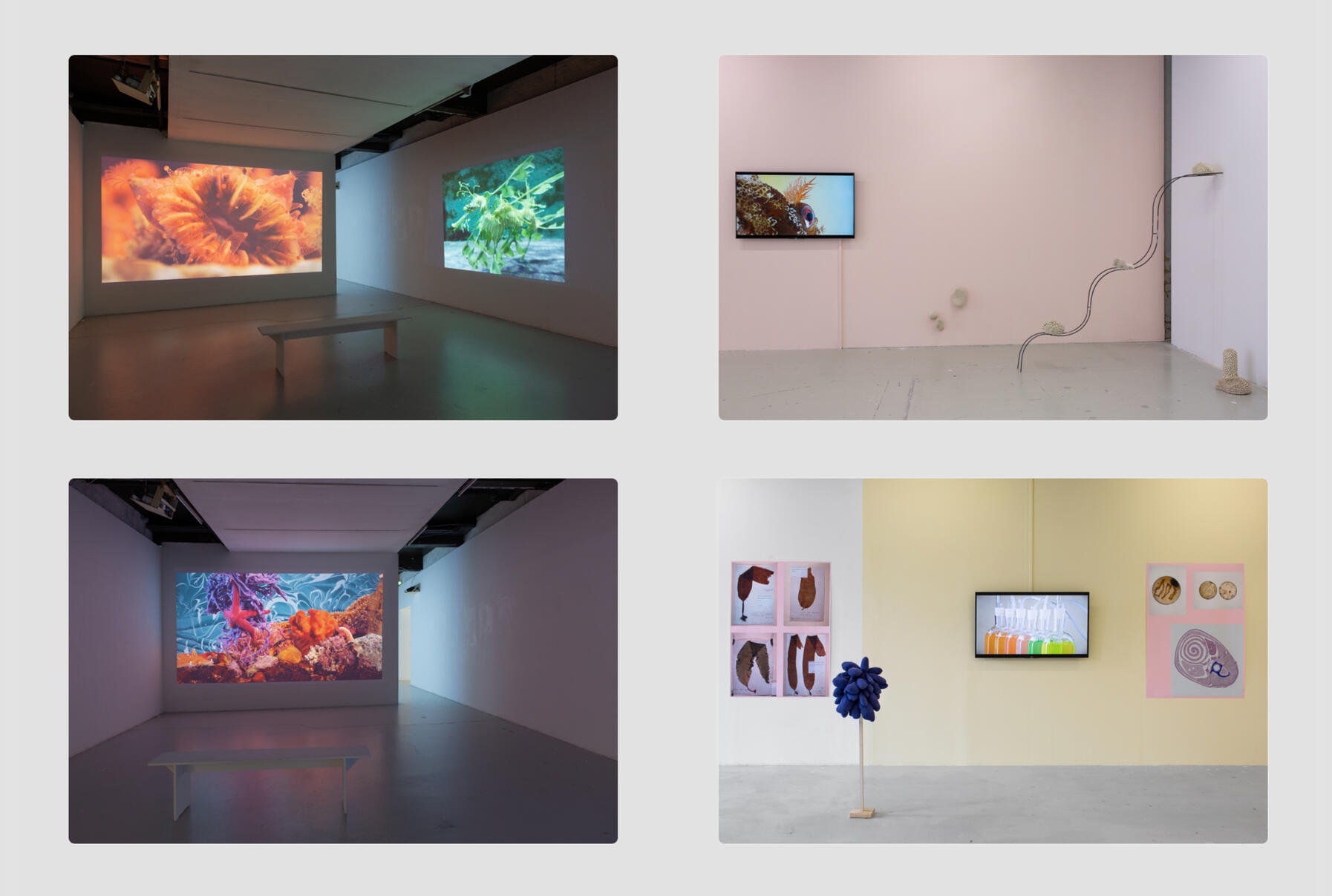 Installation images - Exhibition Les Eaux Composee, 2022